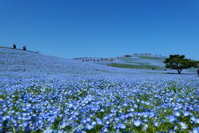 5月のイメージ画像