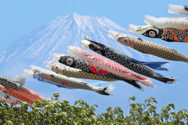 5月のイメージ画像